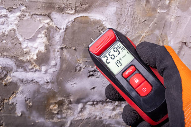 Best Preventive Mold Services in Bull Valley, IL