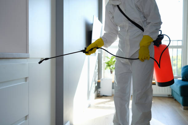 Best HVAC Mold Remediation in Bull Valley, IL